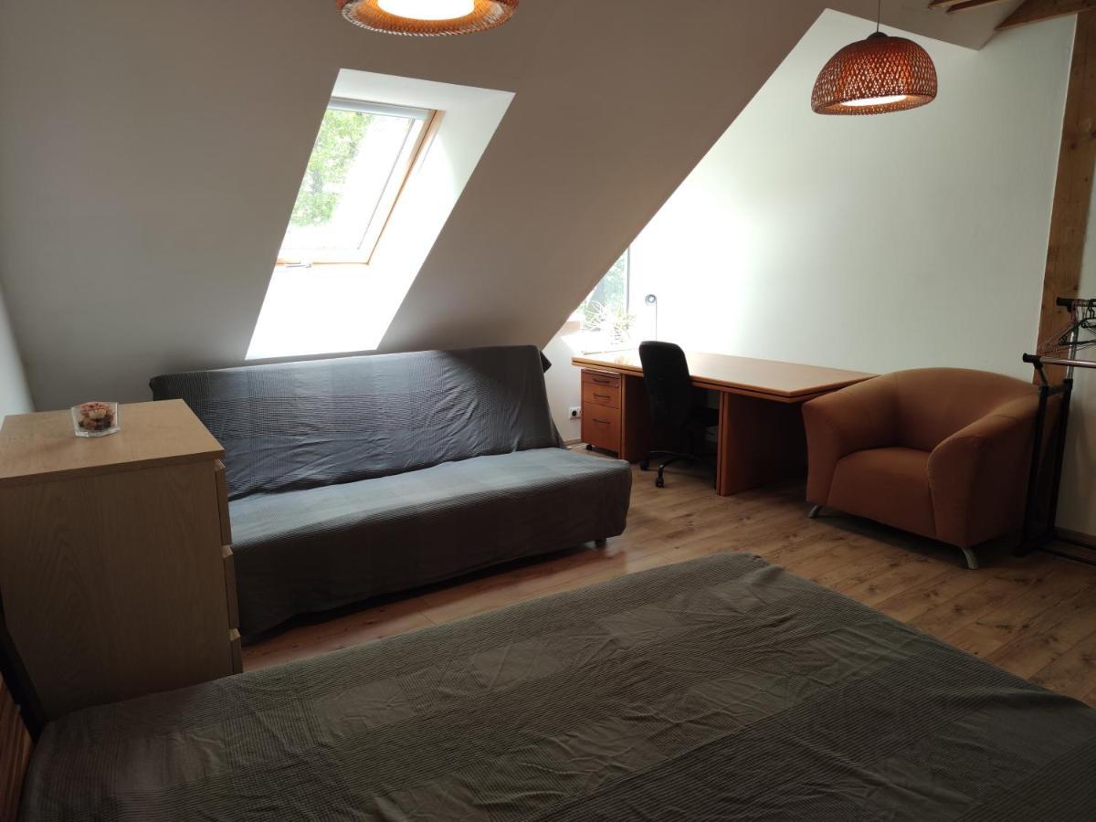 Attic Parkview Apartment Piest'any Exterior photo